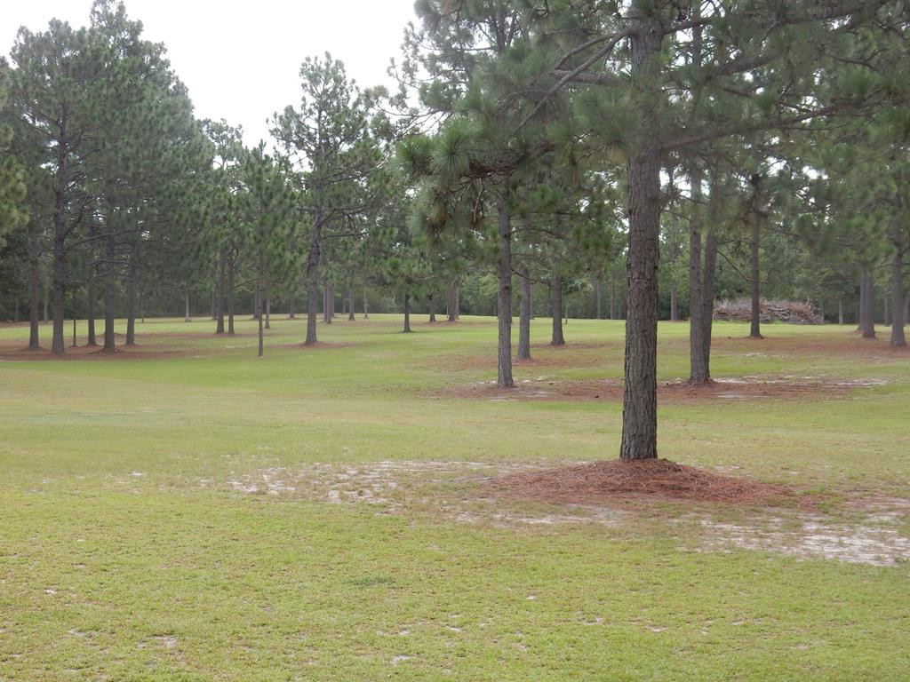 624-626 North Windsor Road Windsor, SC 29856 - Photo 7 of 20