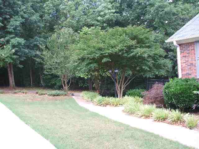 221 Old Georgia Road Pelzer, SC 29669 - Photo 3 of 18