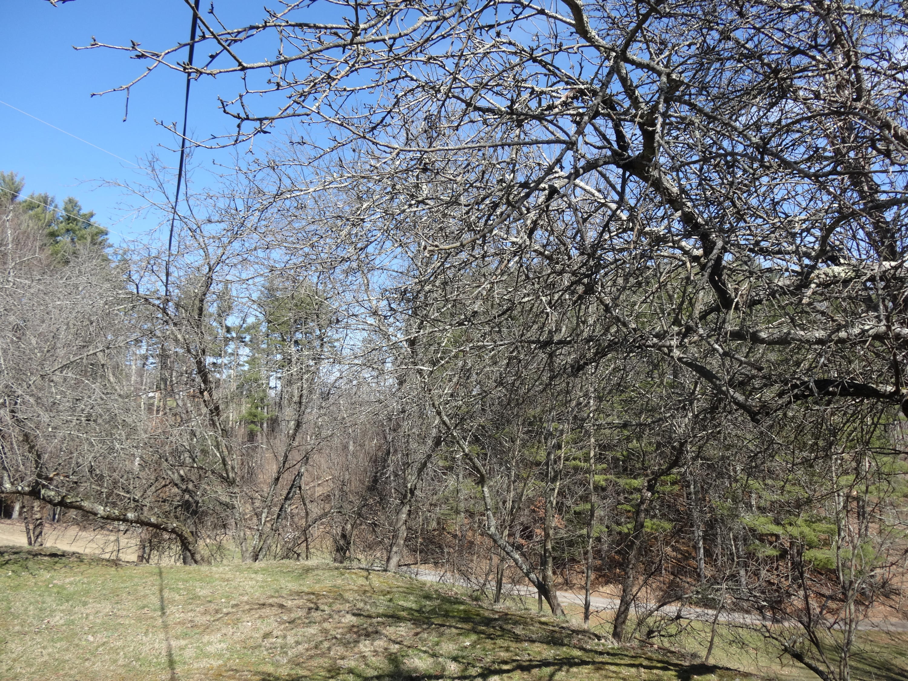 664 Ford Knob Road Meadow Bridge, WV 25976 - Photo 61 of 64 Gallery Image 61