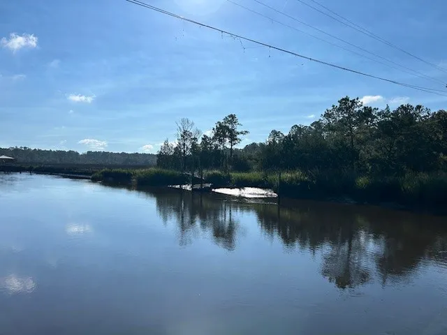 $285,000 | 1 South A S Newport Drive, Townsend, GA 31331