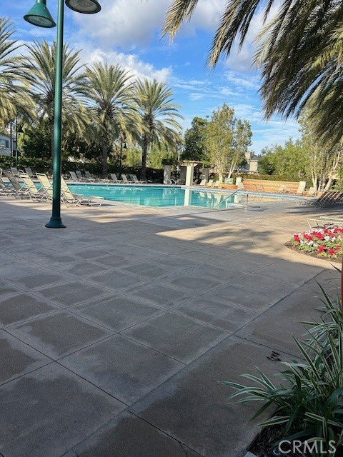 23 Cameron, Unit 67 Irvine, CA 92602 - Photo 13 of 15 a view of yard with palm trees