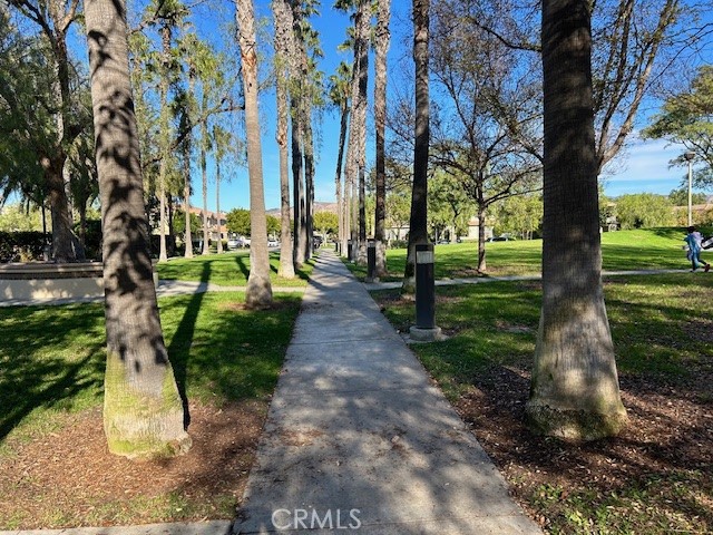 23 Cameron, Unit 67 Irvine, CA 92602 - Photo 15 of 15 a view of a park with large trees