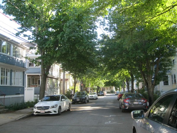 25 Corinthian Road Somerville, MA 02144 - Photo 2 of 20 Gallery Image 2