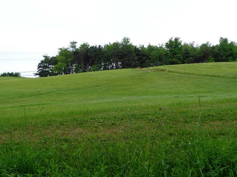 3932 Rte 286 Hwy East Indiana, PA 15701 - Photo 23 of 25 Land.