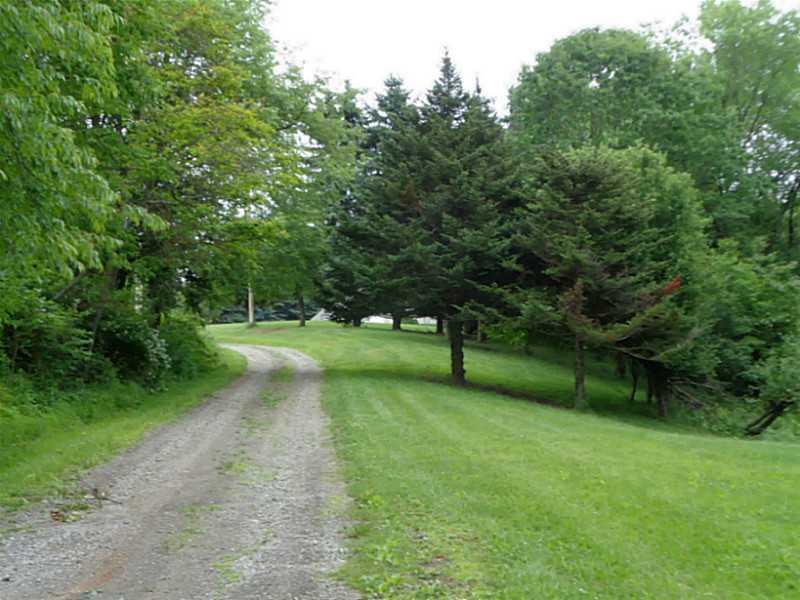 3932 Rte 286 Hwy East Indiana, PA 15701 - Photo 25 of 25 Land.