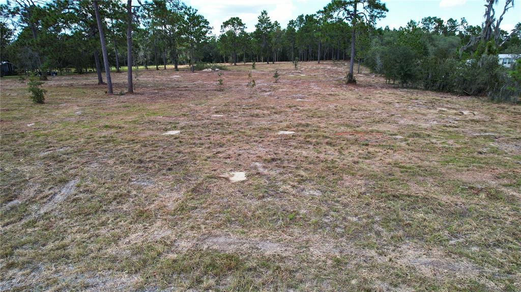 53rd Lane Morriston, FL 32668 - Photo 3 of 7