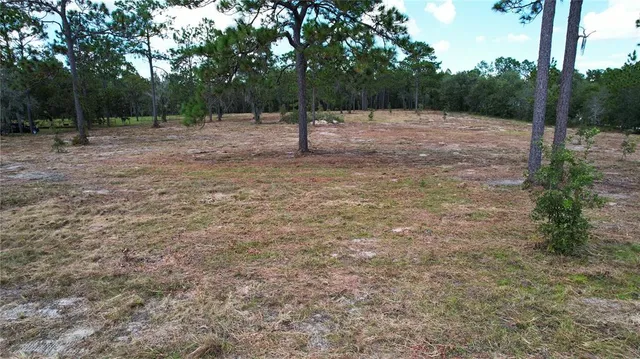 a view of outdoor space with trees