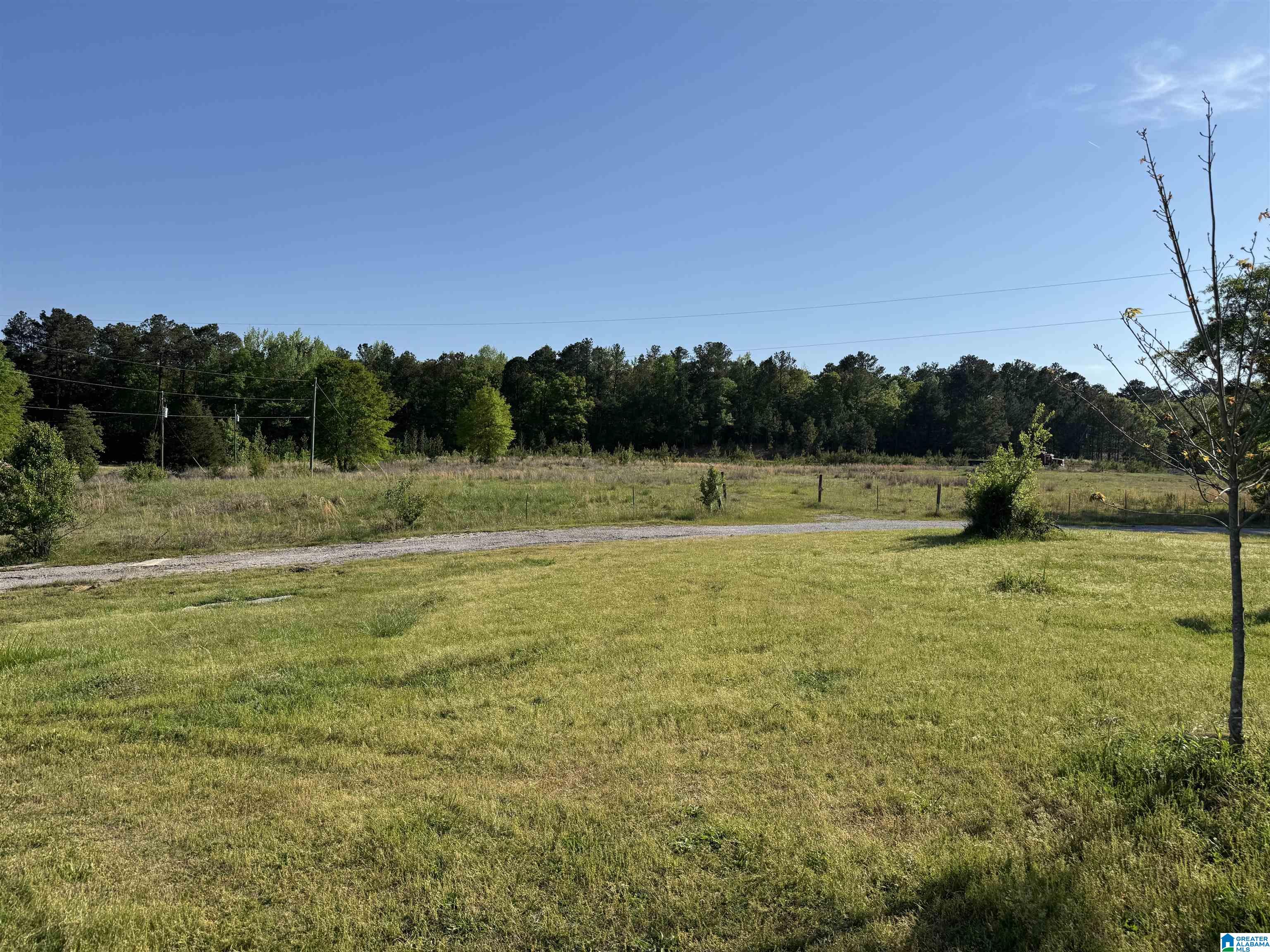40 Page Creek Road, Unit 1 Wilsonville, AL 35186 - Photo 11 of 12 Gallery Image 11