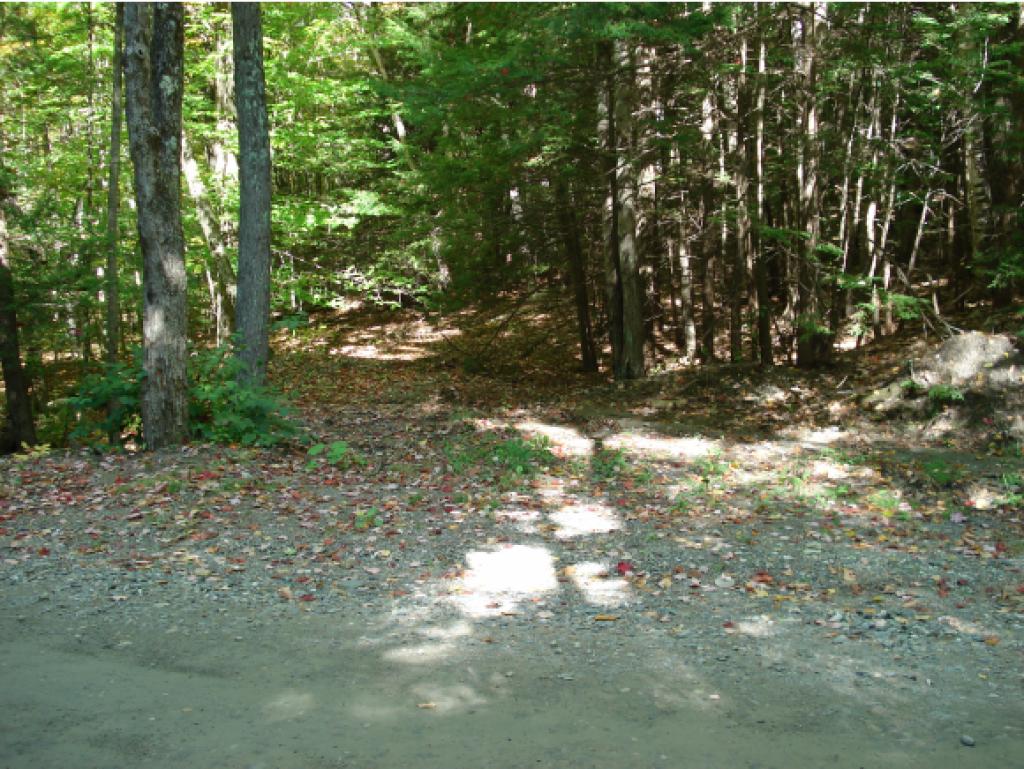 0 Old Chesterfield Road Hinsdale, NH 03462 - Photo 1 of 11 Gallery Image 1