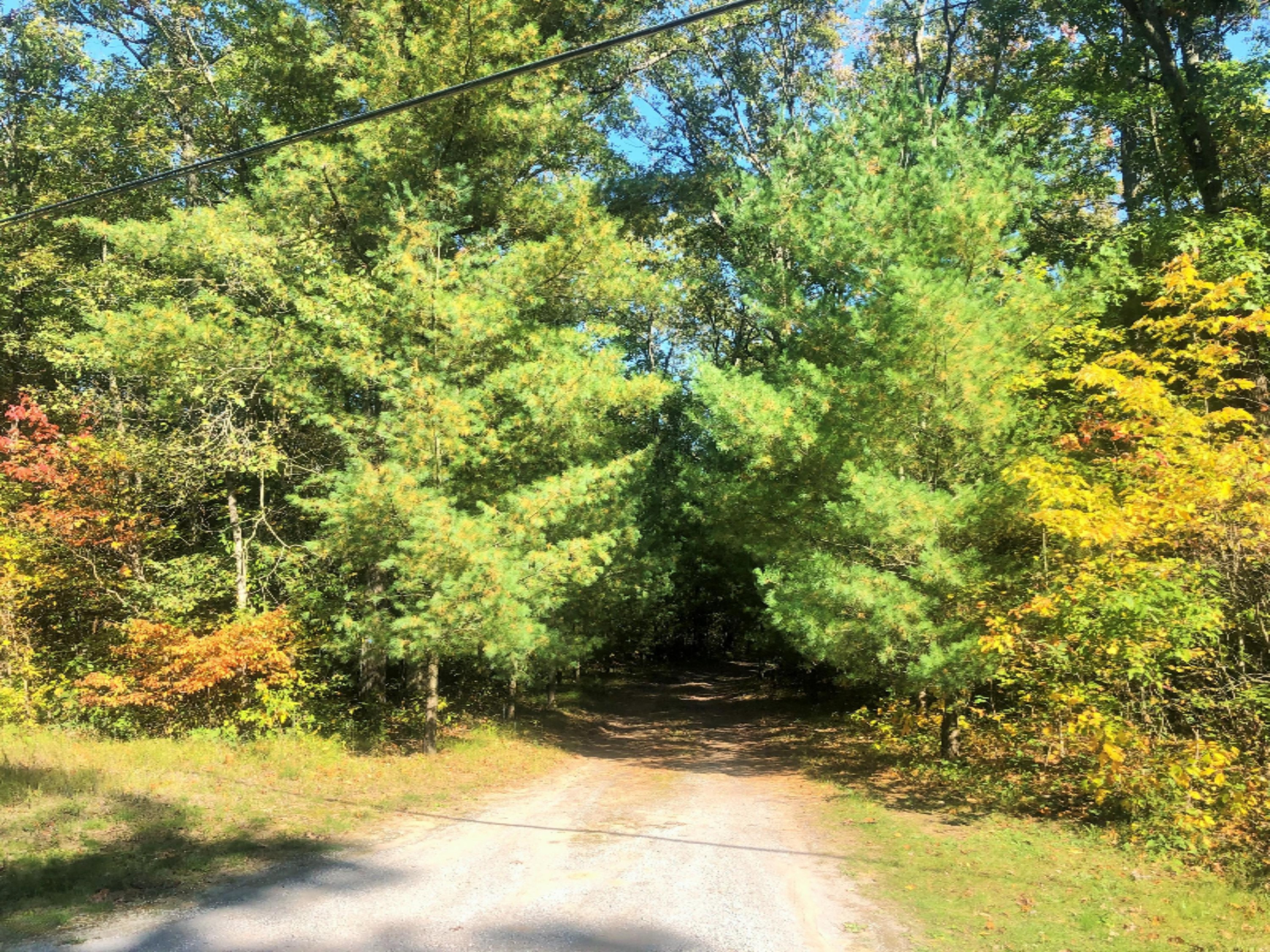 11496 Harris Road Montague, MI 49437 - Photo 22 of 26 View from road
