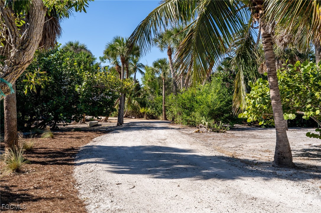 5801 Sanibel Captiva Road Sanibel, FL 33957 - Photo 12 of 45 a view of a yard with plants and trees