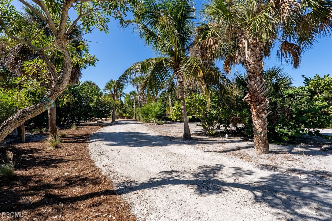 5801 Sanibel Captiva Road Sanibel, FL 33957 - Photo 40 of 45 a view of a yard with plants