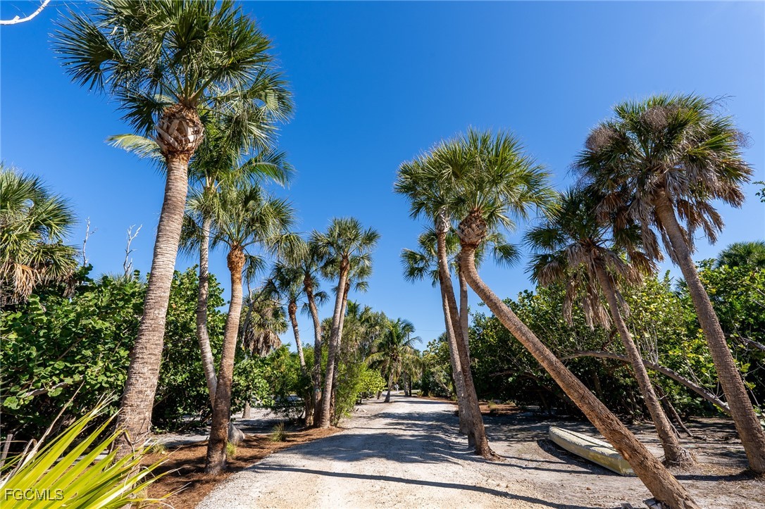 5801 Sanibel Captiva Road Sanibel, FL 33957 - Photo 8 of 45 a view of a palm tree with wooden fence
