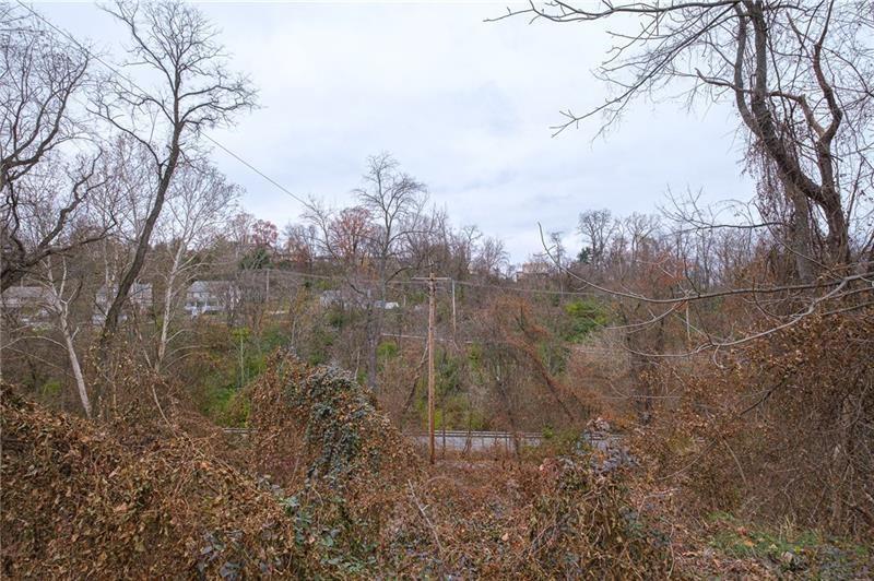 0 Springdale Pittsburgh, PA 15236 - Photo 5 of 10 a view of a yard next to a large trees