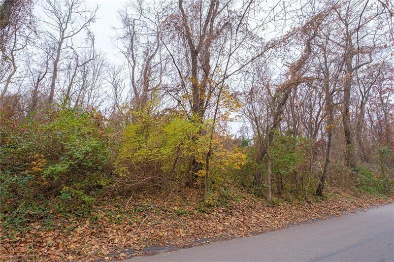 0 Springdale Pittsburgh, PA 15236 - Photo 8 of 10 a view of a forest filled with trees