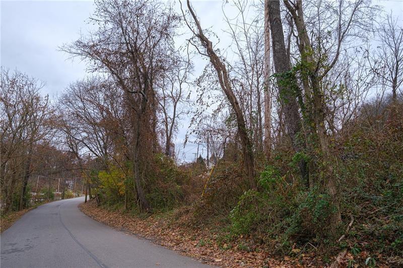 0 Springdale Pittsburgh, PA 15236 - Photo 9 of 10 a view of a forest filled with trees