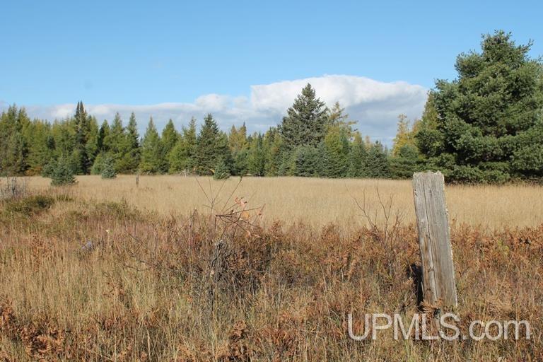 Tbd Missouri Rd - Co Rd 565, Unit LAT 46 31633 LON 87 5822 Gwinn, MI 49841 - Photo 14 of 30