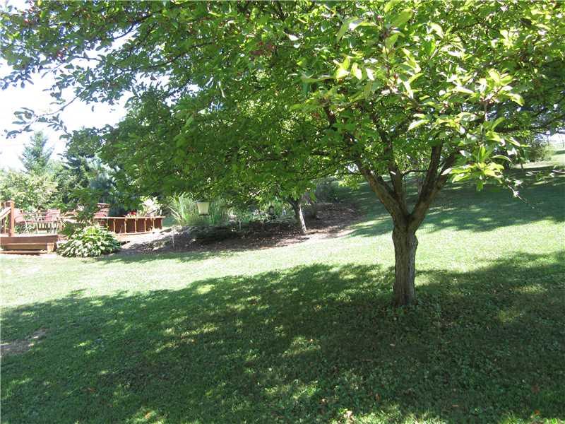 244 Sumney Road Bentleyville, PA 15314 - Photo 21 of 22 Yard/Garden.