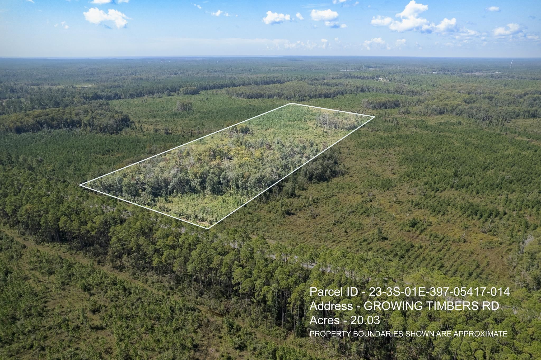 Lot 6 Rock Crusher Road Crawfordville, FL 32327 - Photo 4 of 4