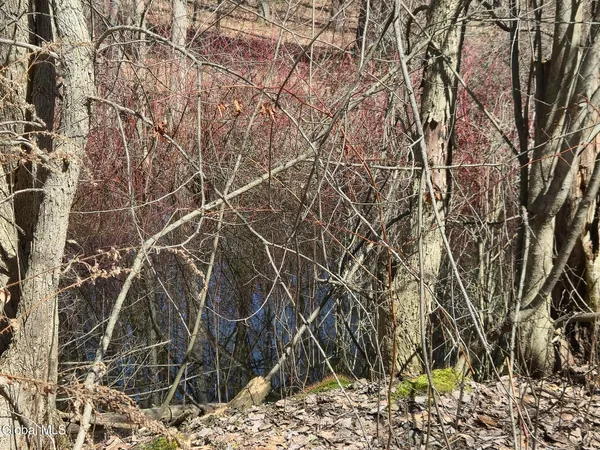 $310,000 | 8186 Highway 40, Hartford, NY 12832