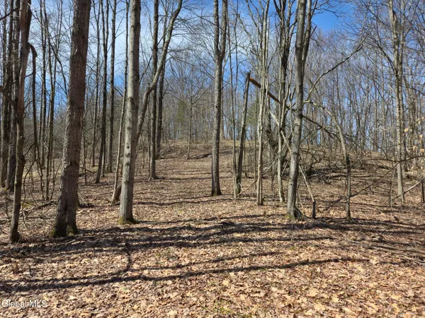 $310,000 | 8186 Highway 40, Hartford, NY 12832