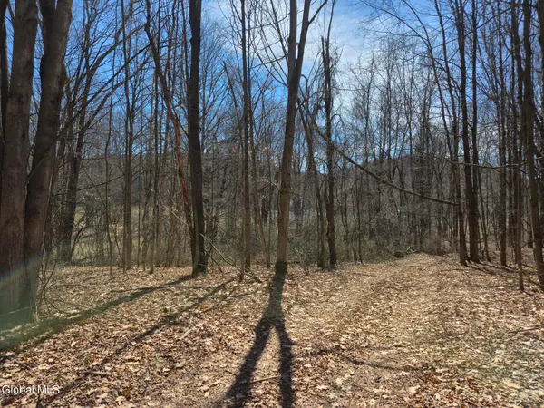 $310,000 | 8186 Highway 40, Hartford, NY 12832