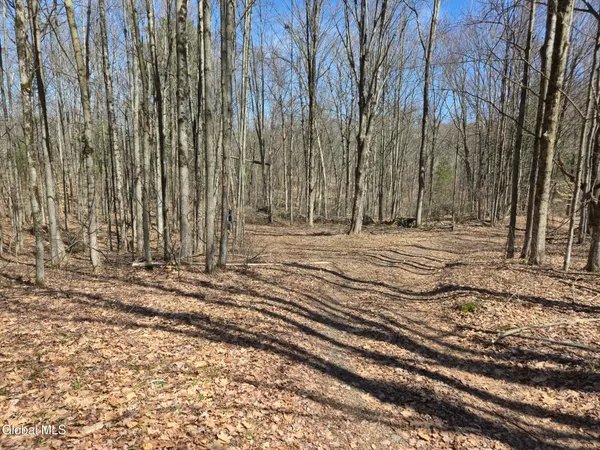 $310,000 | 8186 Highway 40, Hartford, NY 12832