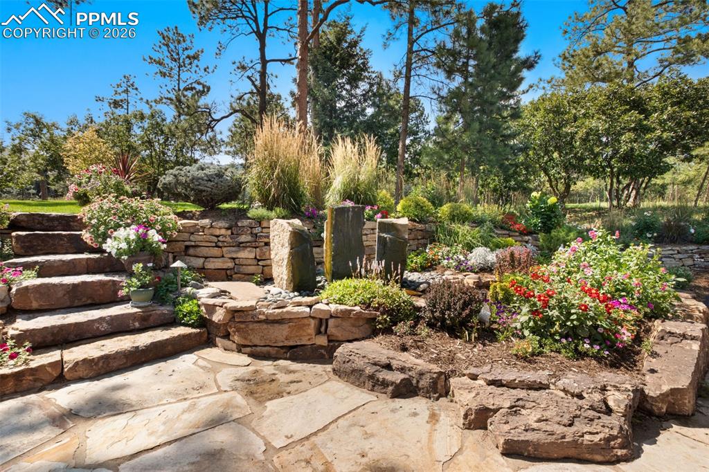 1830 Brantfeather Grove Colorado Springs, CO 80906 - Photo 48 of 50 a view of a backyard with chairs and flower plants