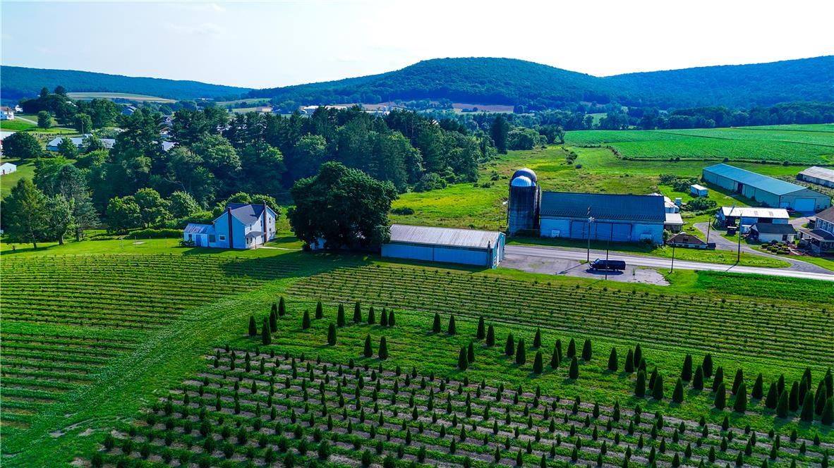 868 Catawissa Road Tamaqua, PA 18252 - Photo 2 of 67 Rolling hillsides surround this peaceful farmstead with cultivated fields and a distant residence.