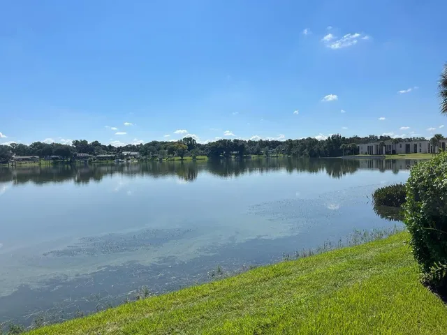 a view of a lake with a city