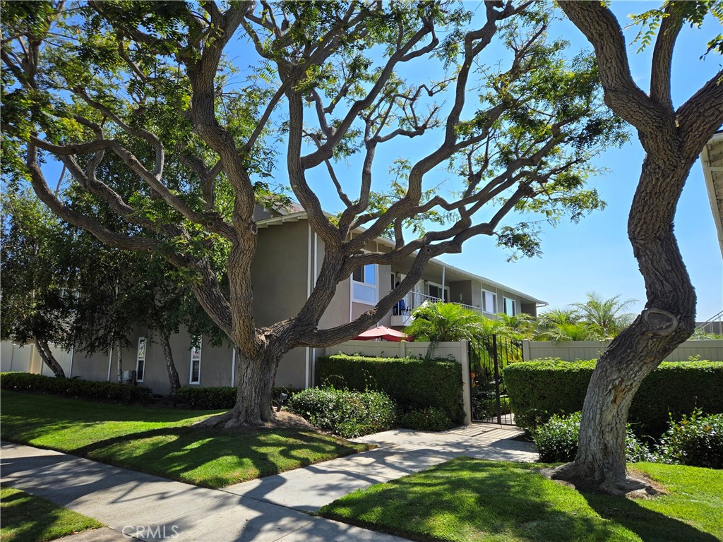 a view of a garden with a tree in the garden