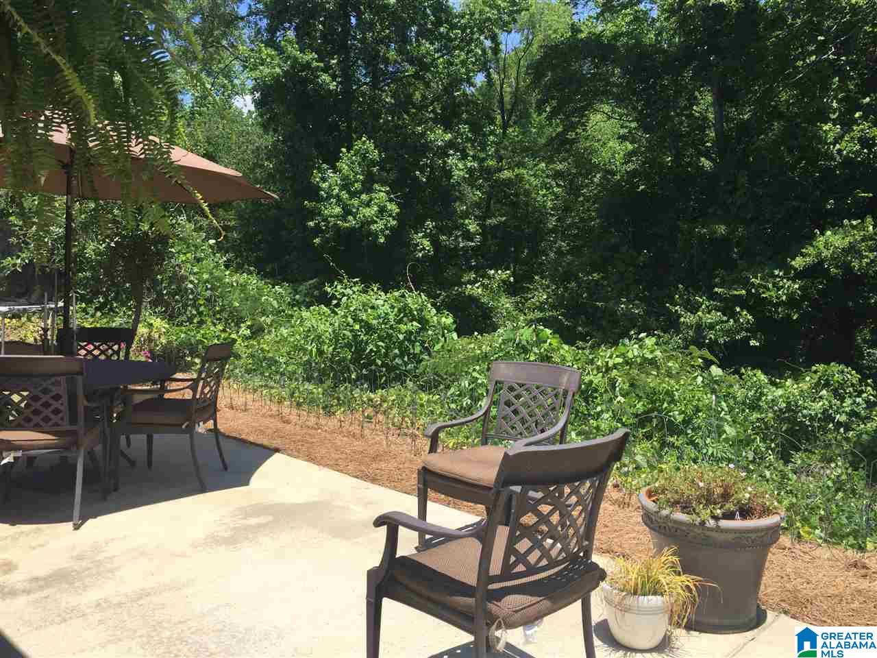 323 Polo Court Chelsea, AL 35043 - Photo 3 of 21