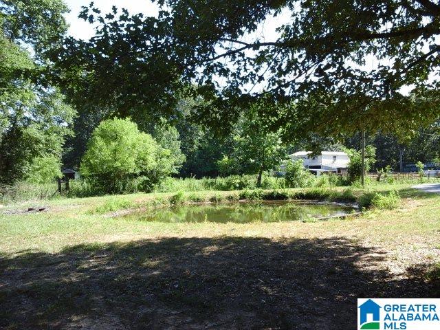 341 Happy Knoll Road Ashville, AL 35953 - Photo 34 of 47