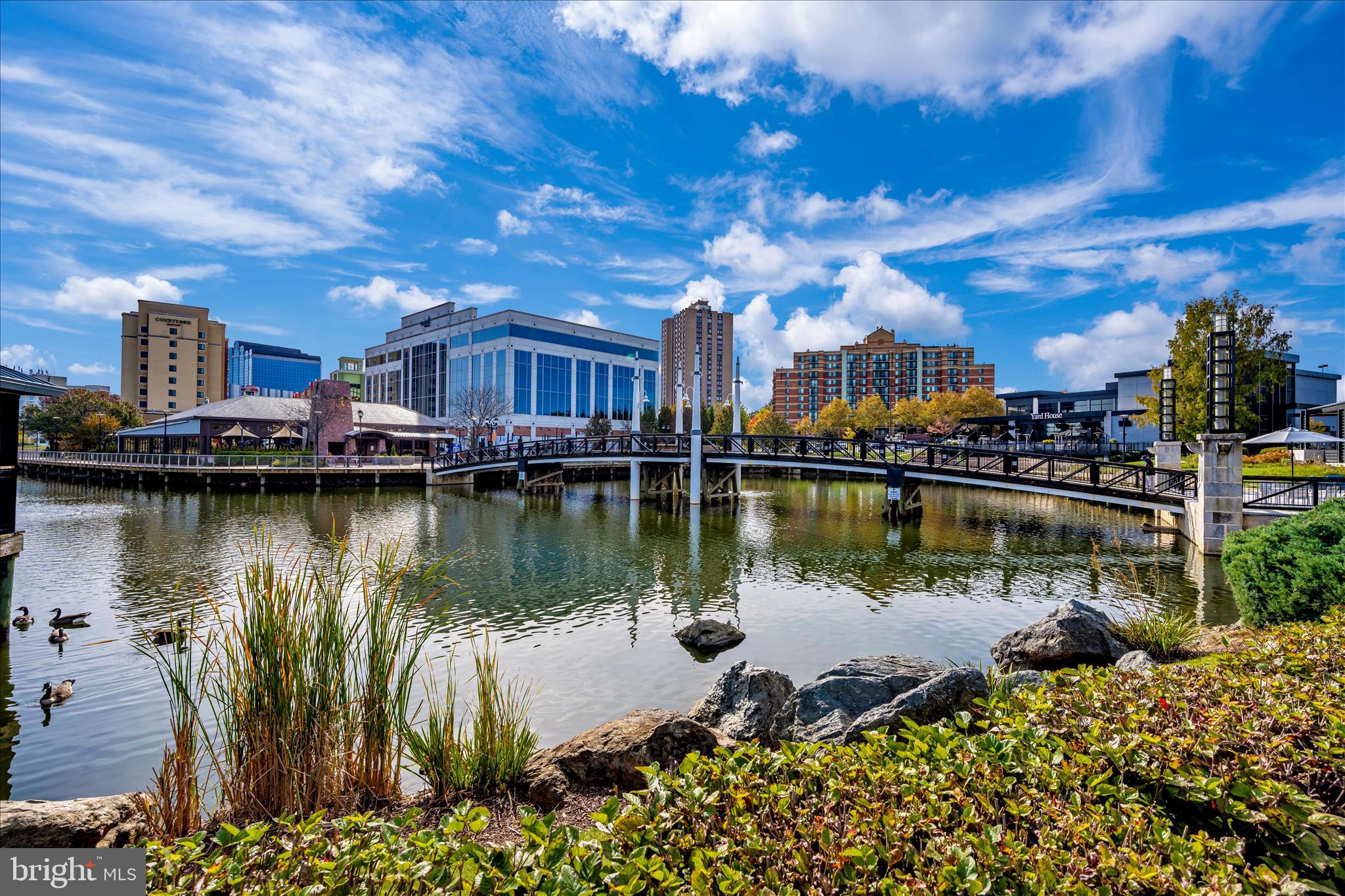 9701 Fields Road, Unit 2501 Gaithersburg, MD 20878 - Photo 48 of 54 Rio