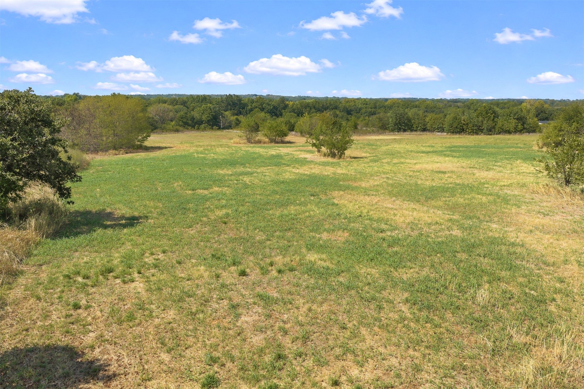 162 Big Bear Road Lone Grove, OK 73443 - Photo 10 of 12 Expansive open field with scattered trees and a distant tree line
