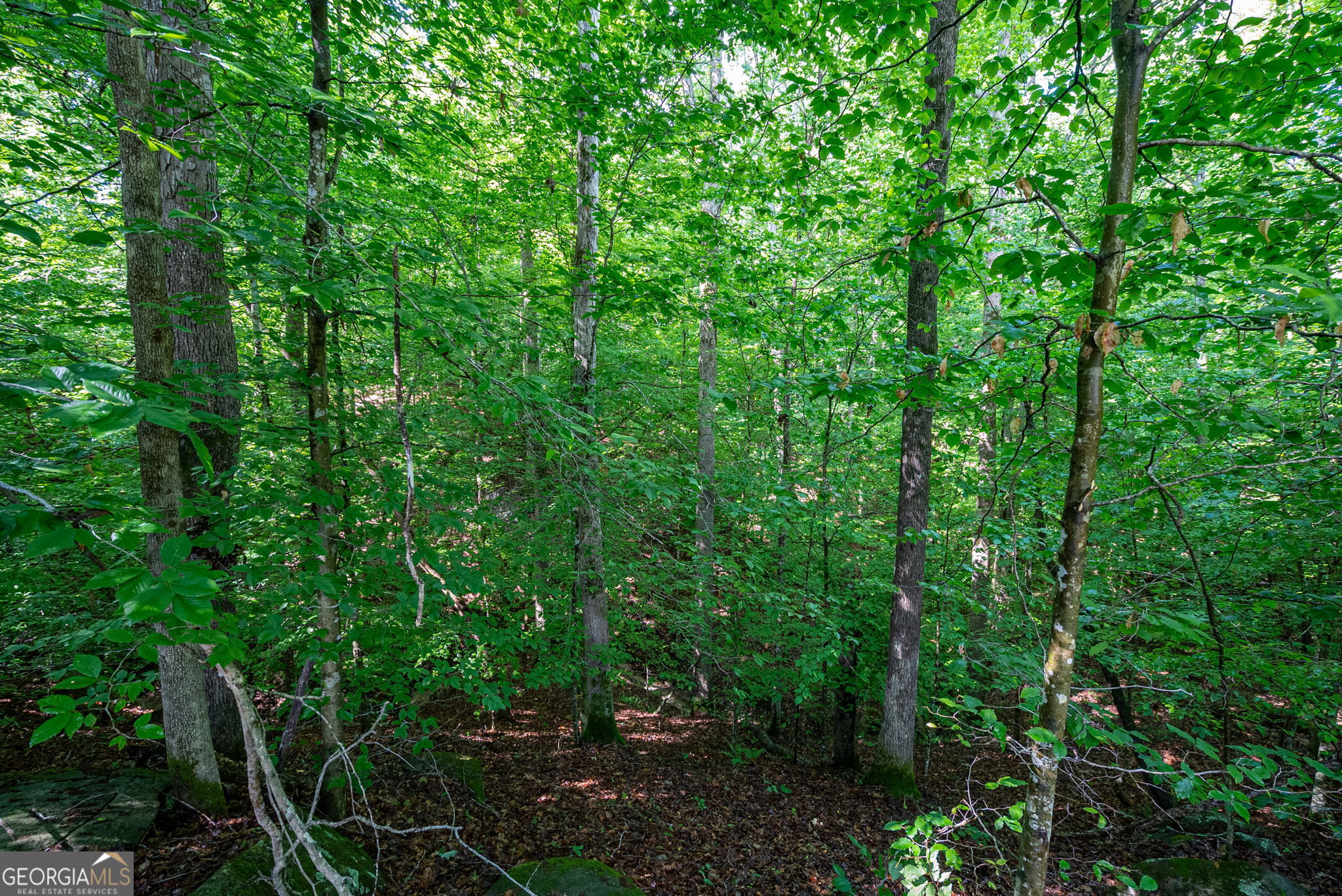 2 Brewer's Bridge Road Elberton, GA 30635 - Photo 11 of 24