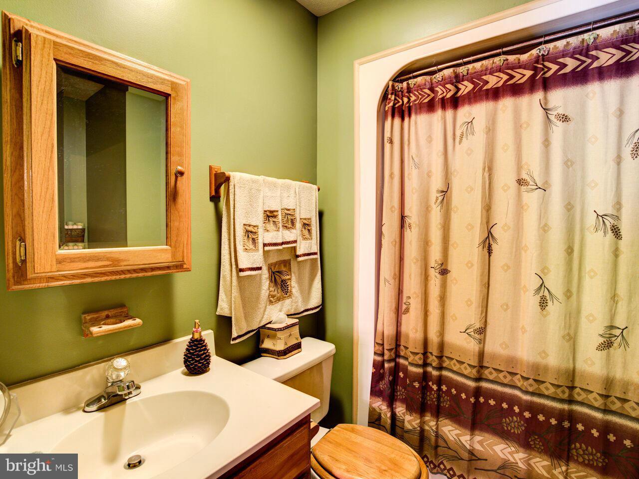 1620 Runnymeade Road Bunker Hill, WV 25413 - Photo 20 of 29 Hall bath on upper level