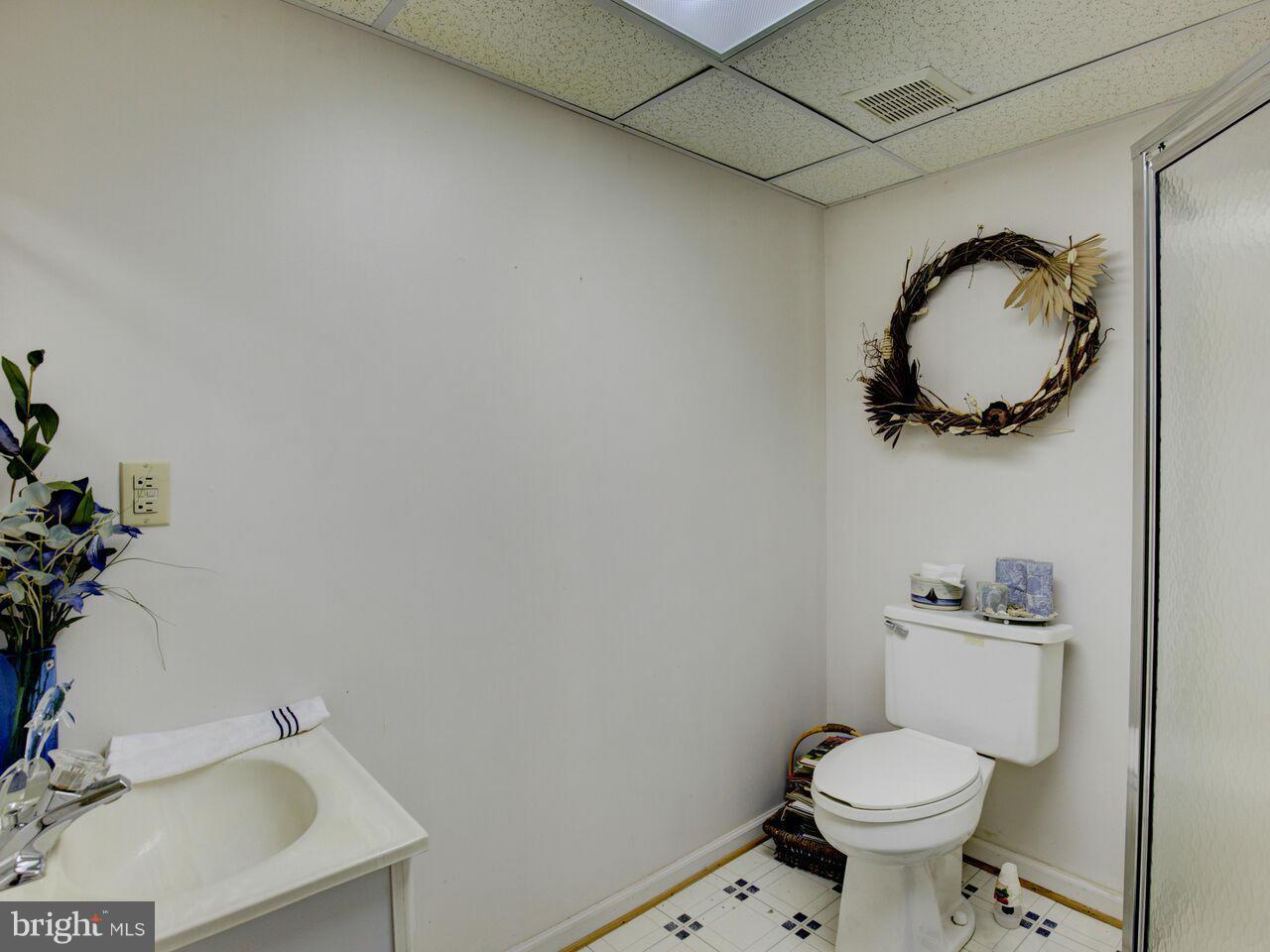 1620 Runnymeade Road Bunker Hill, WV 25413 - Photo 29 of 29 basement full bath