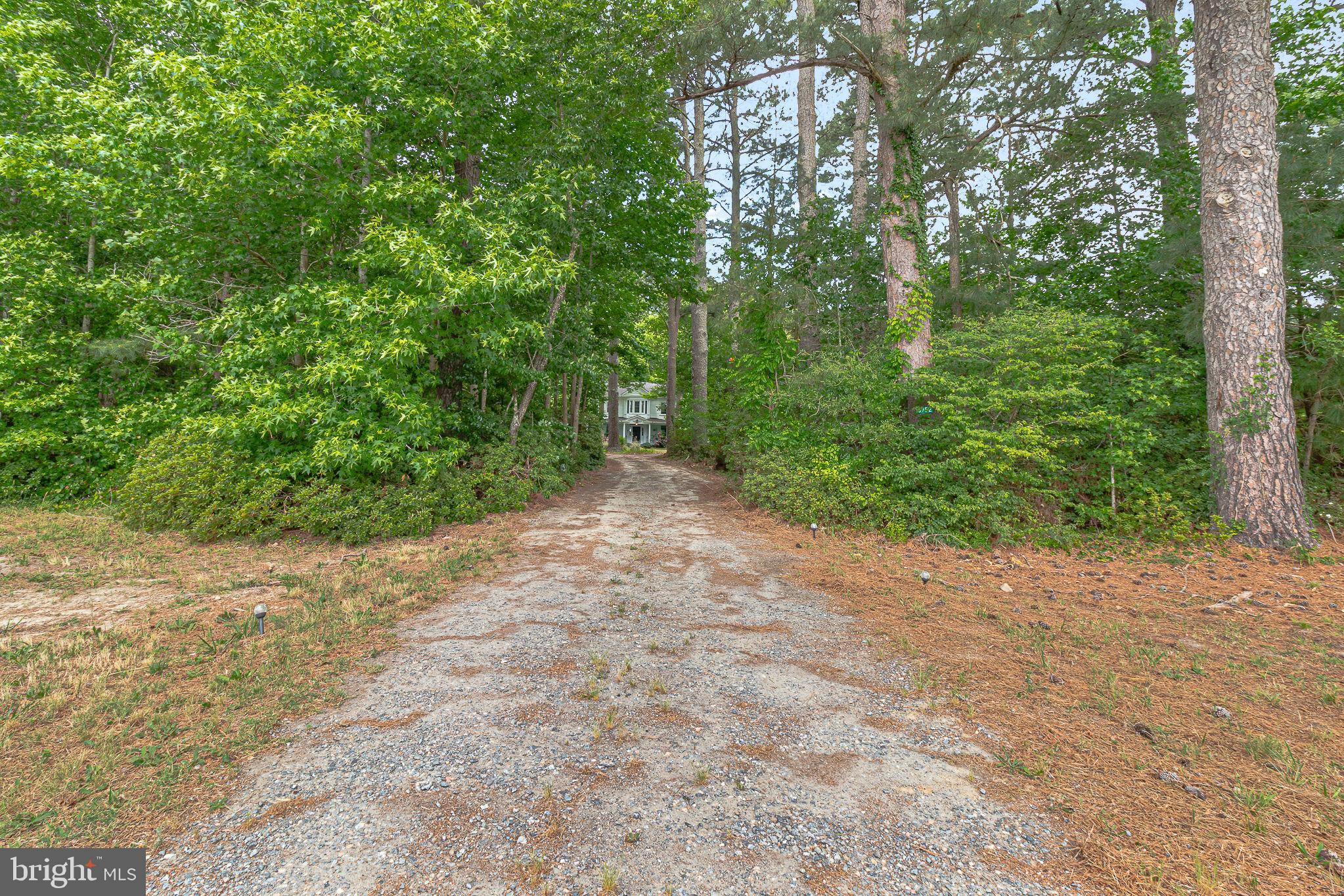 3952 Irvington Road Irvington, VA 22480 - Photo 40 of 77 a view of a yard with plants and large trees