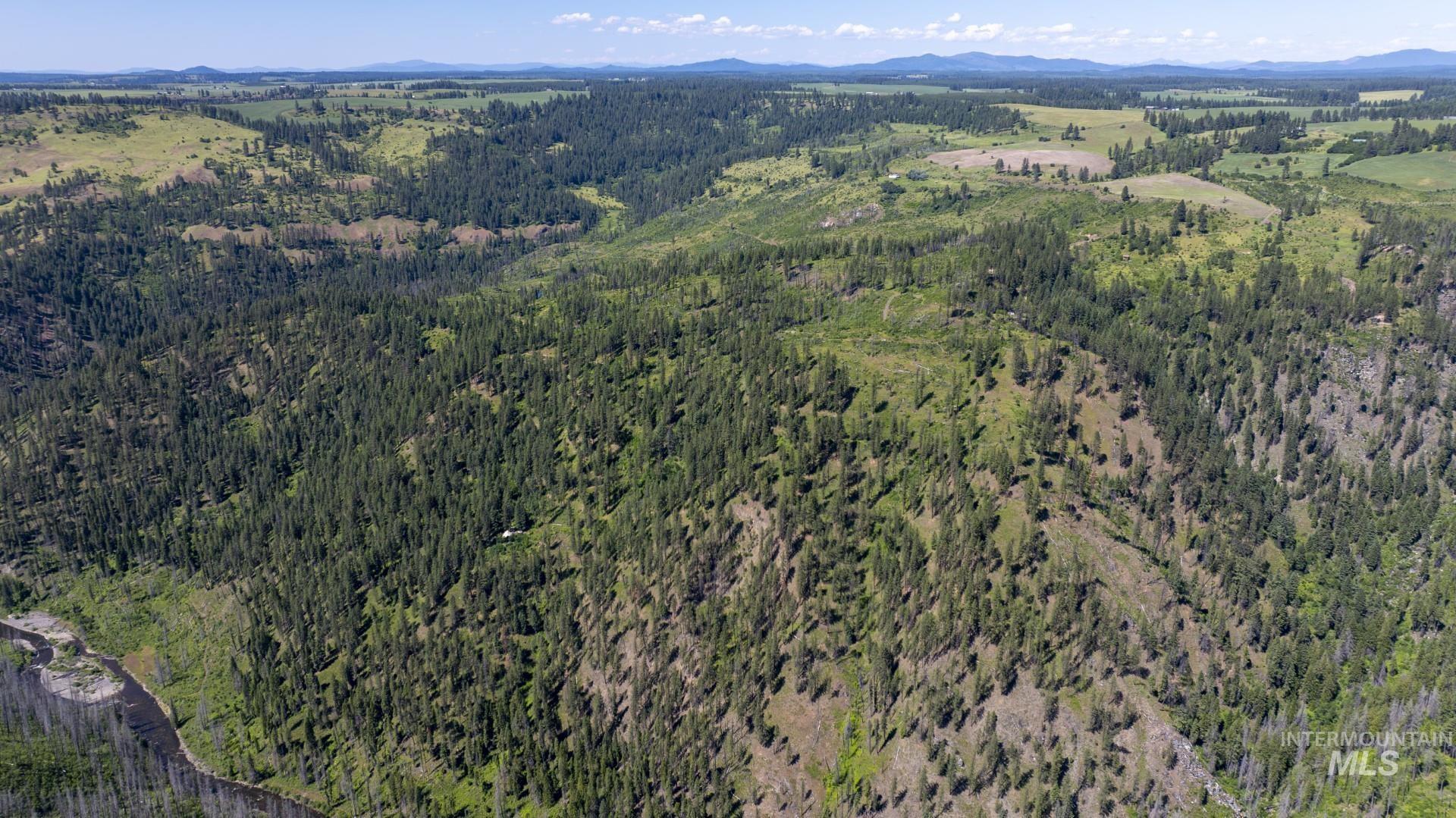 0 Forest Garden Lane Weippe, ID 83553 - Photo 13 of 17