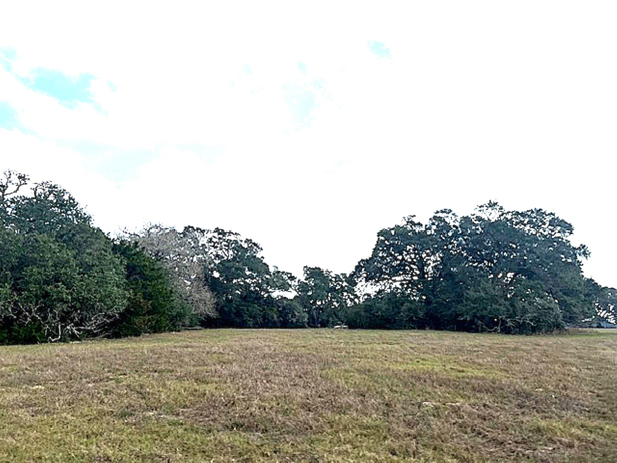 Tbd 20-acres Tbd 20-acres Cat Spring Road Cat Spring, TX 78933 - Photo 2 of 21