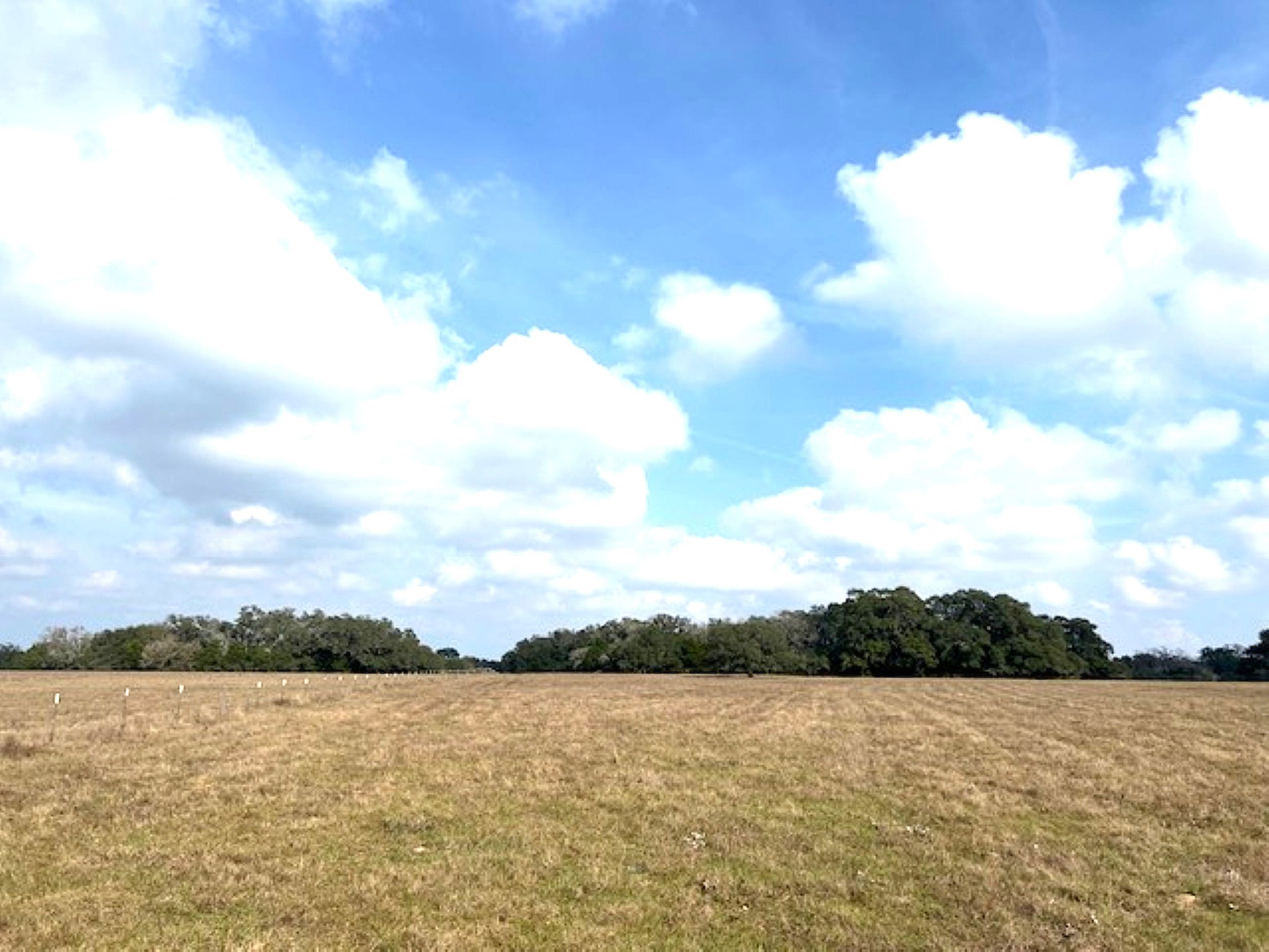 Tbd 20-acres Tbd 20-acres Cat Spring Road Cat Spring, TX 78933 - Photo 8 of 21