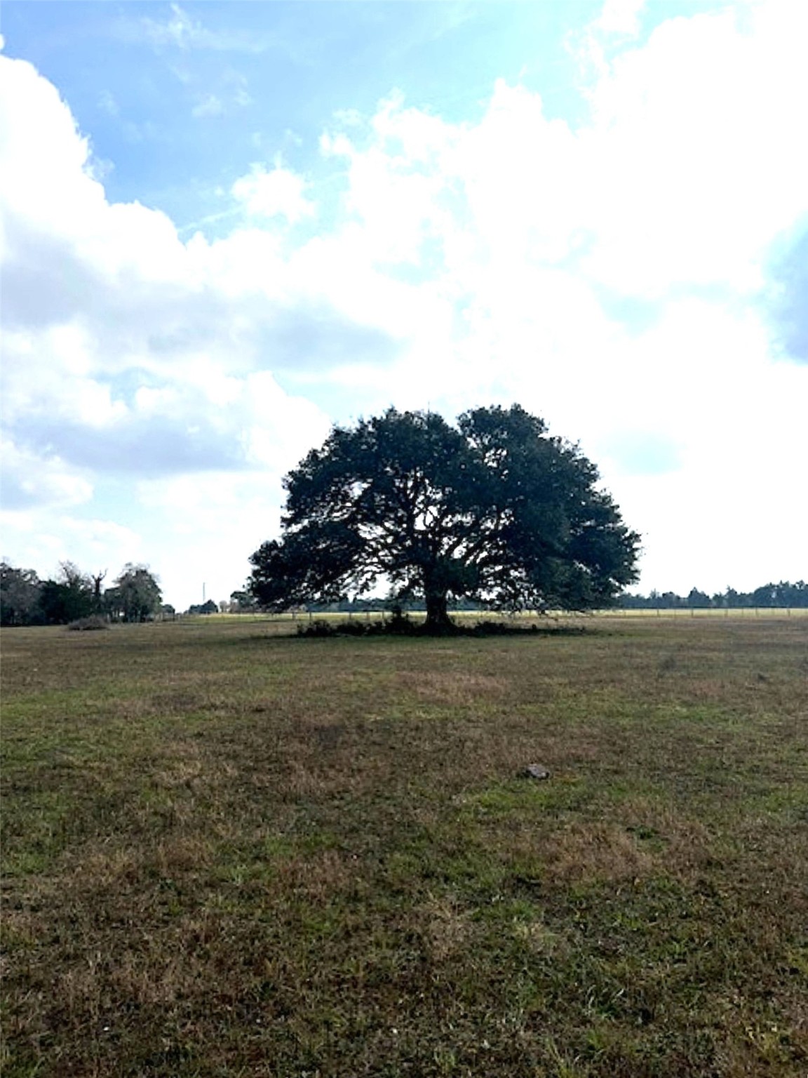 Tbd 20-acres Tbd 20-acres Cat Spring Road Cat Spring, TX 78933 - Photo 9 of 21