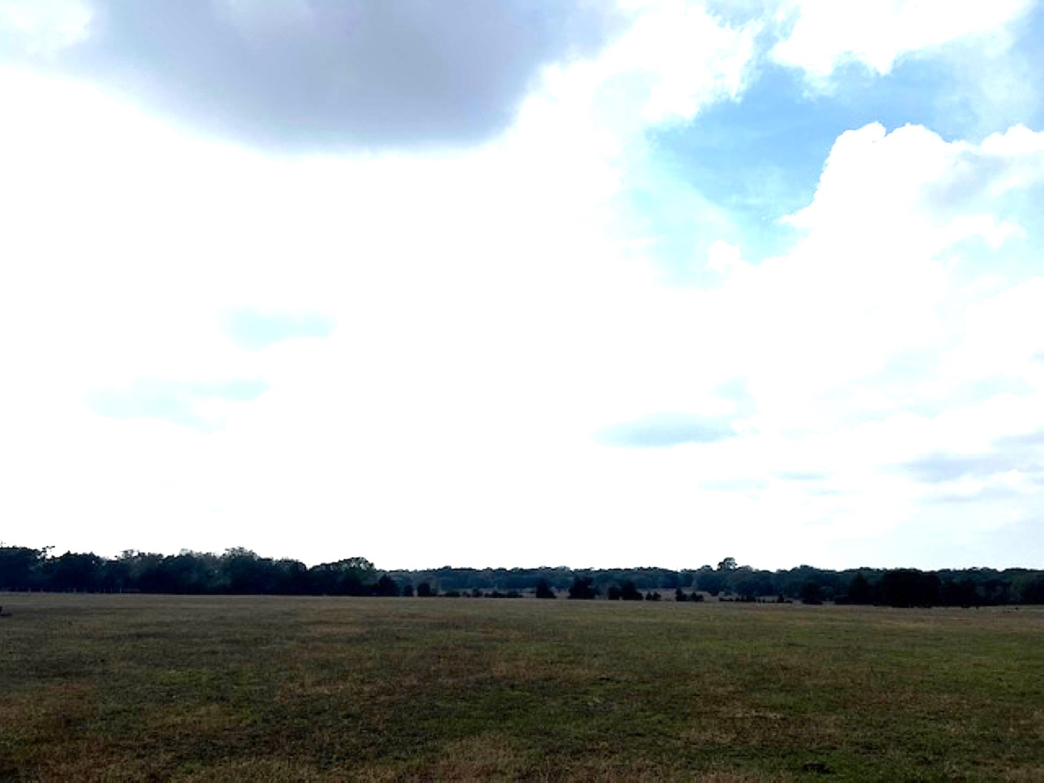 Tbd 20-acres Tbd 20-acres Cat Spring Road Cat Spring, TX 78933 - Photo 10 of 21