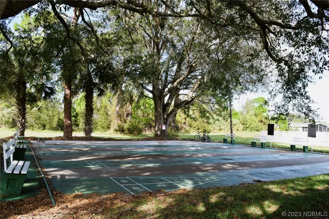 a view of road with large trees