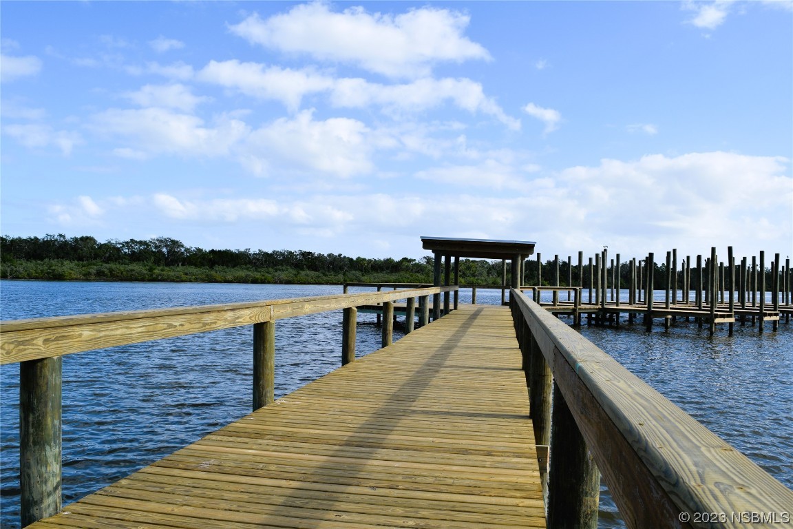4366 Whiting Way Edgewater, FL 32141 - Photo 6 of 11 a view of swimming pool with a terrace