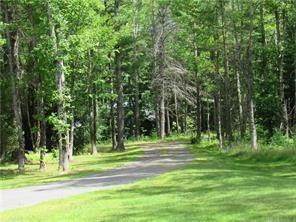 2 Steven Road Monson, ME 04464 - Photo 3 of 11 drive way leading out to the street,...