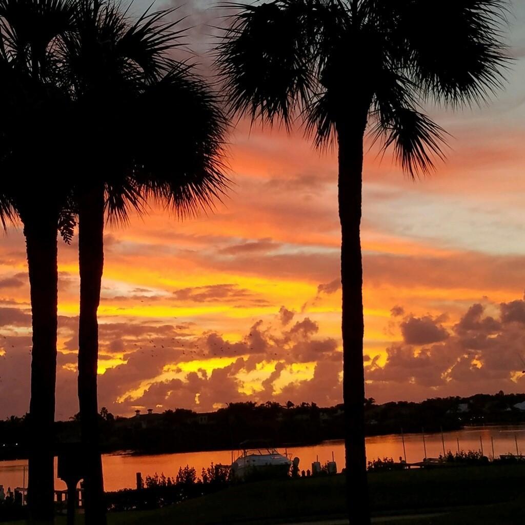150 Eagle Drive Jupiter, FL 33477 - Photo 40 of 41 Sunset view