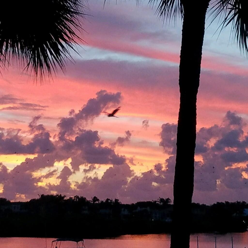 150 Eagle Drive Jupiter, FL 33477 - Photo 41 of 41 Sunset view