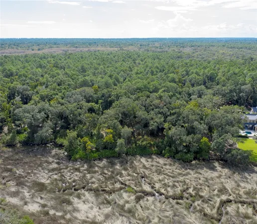 $785,000 | 316 Pike's Bluff Drive, St. Simons Island, GA 31522